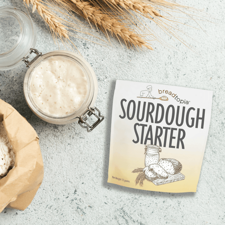 Dry Sourdough Starter Breadtopia