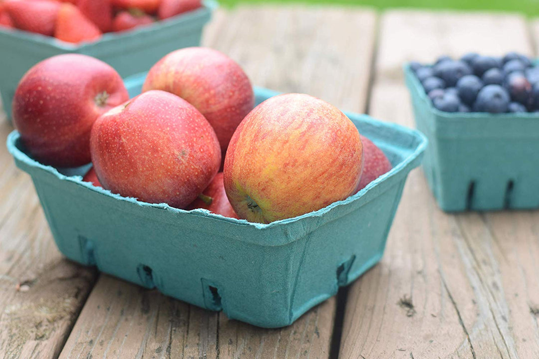 JA Kitchens Pulp Fiber Berry Baskets