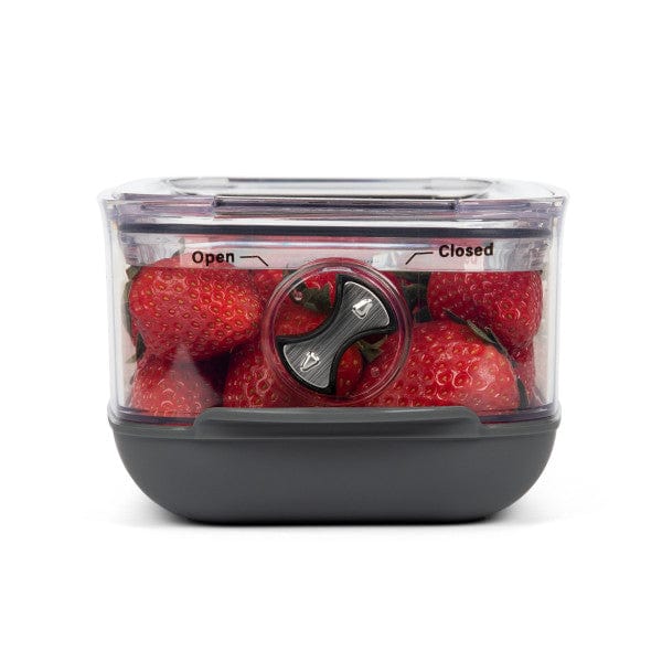 Progressive Progressive Berry Produce Prokeeper+ Food Storage Container