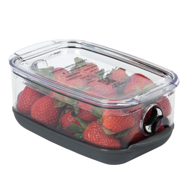 Progressive Progressive Berry Produce Prokeeper+ Food Storage Container