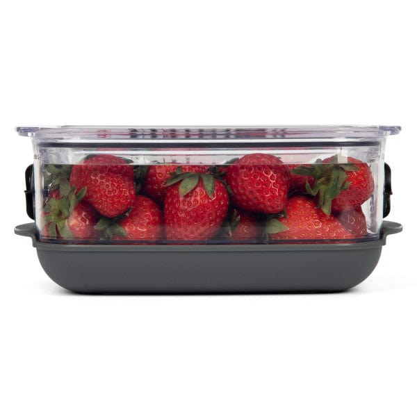 Progressive Progressive Berry Produce Prokeeper+ Food Storage Container