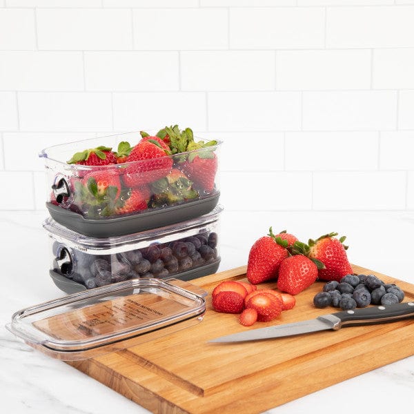 Progressive Progressive Berry Produce Prokeeper+ Food Storage Container