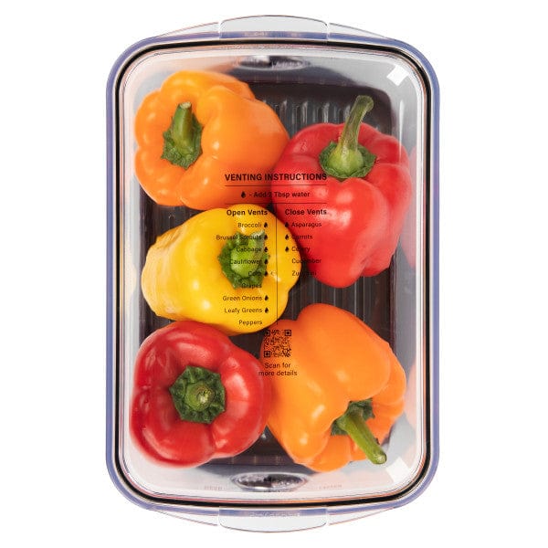 Progressive Progressive Large Produce Prokeeper+ Food Storage Container