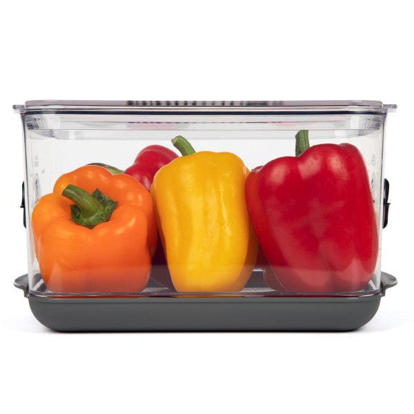 Progressive Progressive Large Produce Prokeeper+ Food Storage Container