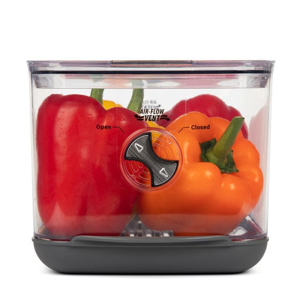 Progressive Progressive Large Produce Prokeeper+ Food Storage Container