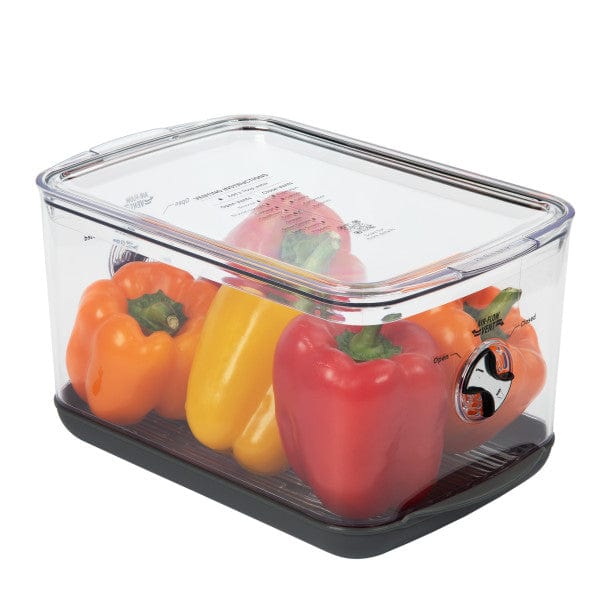 Food Storage Progressive Large Produce Prokeeper+ Food Storage Container